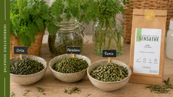 Infusion de plantes de la famille des urticacées - Herboristerie Sensathé